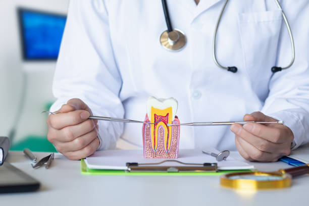 Best Emergency Dentist for Special Needs Patients in Saxapahaw, NC